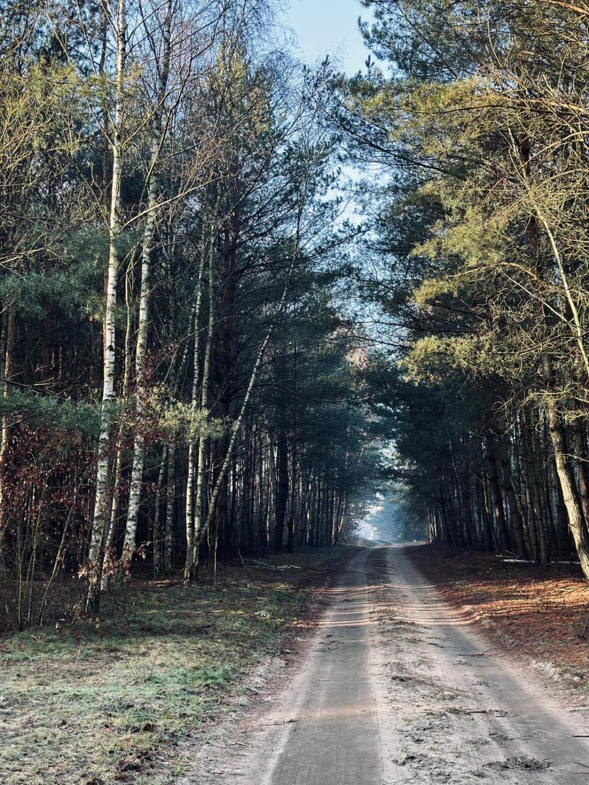 Domki Kacprowy W Lipnicy Lipnica  Exterior foto